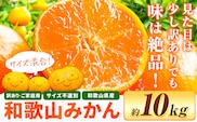 和歌山県産 訳あり みかん (3S～3L) 約10kg《11月上旬-12月末頃出荷》和歌山県 日高川町 果物 フルーツ 訳ありみかん 家庭用---wfn_wlocal_11j12m_25_9500_10kg---