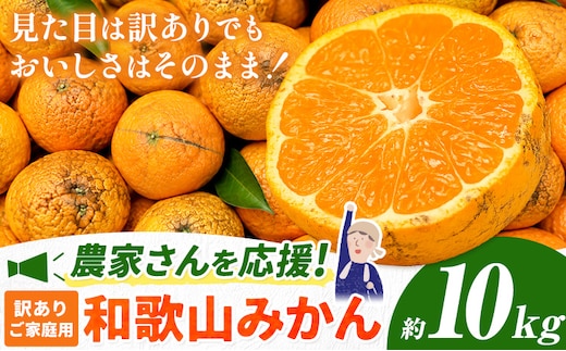 和歌山県産 訳あり みかん (3S～3L) 約10kg《11月上旬-12月末頃出荷》和歌山県 日高川町 果物 フルーツ 訳ありみかん 家庭用---wfn_wlocal18_ac1112_23_10000_10kg---