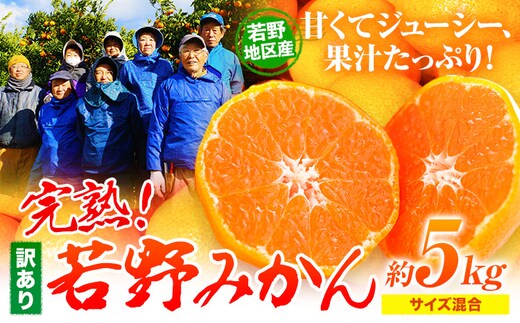 訳あり みかん 5kg 完熟 若野みかん 約5kg サイズ混合 圦本農園 《11月下旬-12月中旬頃出荷》和歌山県 日高川町 送料無料 訳ありみかん 5キロ わけありみかん わけあり 若野 みかん ミカン 柑橘 完熟 フルーツ 果物 お取り寄せフルーツ---wshg_yrm5_11g12c_25_11000_5kg---