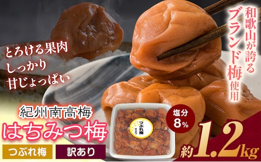 ご家庭用 とろける果肉 紀州南高梅 はちみつ梅 つぶれ梅 大容量 約1.2kg 有限会社プラム《30日以内に出荷予定(土日祝除く)》和歌山県 日高川町 梅 うめ ウメ 南高梅 梅干し 梅干 つぶれ梅 蜂蜜 送料無料 ランキング お米 のお供---wshg_plm8_30d_26_11000_1200g---