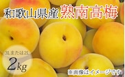 【梅干・梅酒用】（3Lまたは2L－2Kg）熟南高梅＜2026年6月上旬～7月7日発送予定＞【ART06】フルーツ 果物 くだもの 食品 人気 おすすめ 送料無料【art008B】