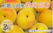 【梅干・梅酒用】（LまたはM－2Kg）熟南高梅＜2026年6月上旬～7月7日発送予定＞【ART07】フルーツ 果物 くだもの 食品 人気 おすすめ 送料無料【art012B】