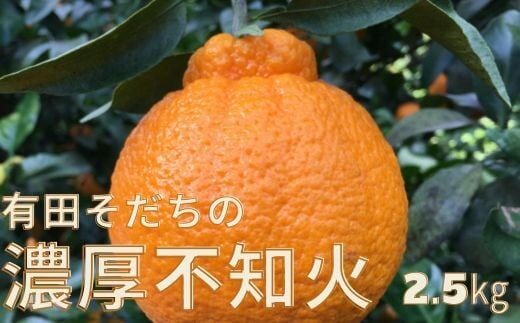 【先行予約】有田育ちの濃厚 不知火 ( デコポン と同品種)( 訳あり 家庭用 ) 2kg+200g(痛み補償分) ※北海道・沖縄・離島配送不可【ard020C】