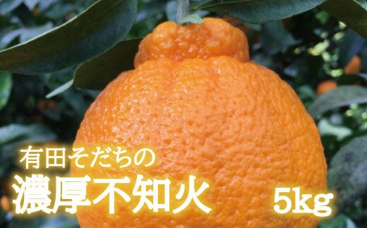 【先行予約】有田育ちの濃厚 不知火 ( デコポン と同品種)( 訳あり 家庭用 ) 5kg+200g(痛み補償分) ※北海道・沖縄・離島配送不可【ard021C】
