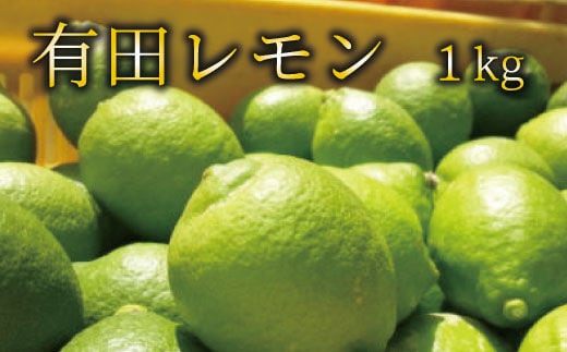 【国産】紀州和歌山 有田レモン 1kg+200g(痛み補償分) ※北海道・沖縄・離島配送不可【ard030B】