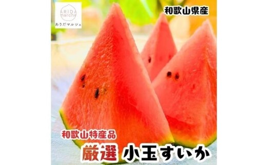 【先行予約】農家直送 厳選 小玉すいか Mサイズ/1玉入り【2027年6月上旬～6月下旬（順次発送予定）】【農家直送】【大人気】【和歌山県産】【ard175B】 