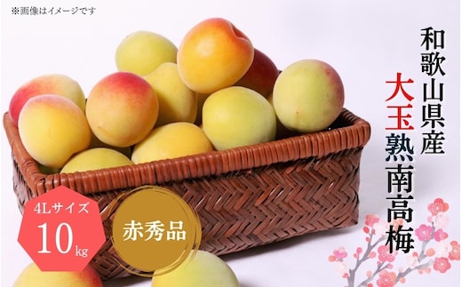 【梅干・梅酒用】大玉4Lサイズ約10kg熟南高 生梅 赤秀品＜2026年6月上旬～7月7日発送予定＞【ART02】/ 梅 うめ ウメ 秀品 和歌山 完熟梅 南高梅 生梅 梅シロップ 梅ジュース 梅酒 フルーツ 果物 くだもの 食品 人気 おすすめ 送料無料【art022A】
