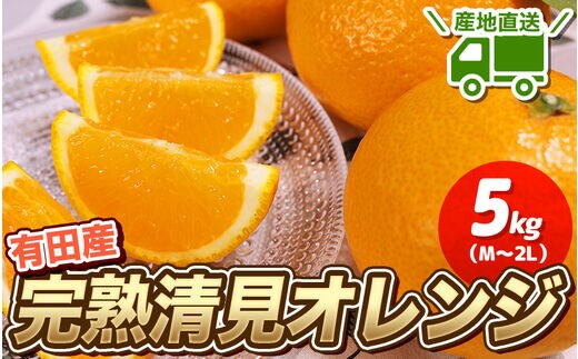 【先行予約】 ＼ みかんの名産地 和歌山県産／ 農家直送 完熟清見オレンジ 5kg (M～２Lサイズおまかせ) ひとつひとつ手選別で厳選【2027年3月中旬～4月下旬頃発送予定】【hdm003A】