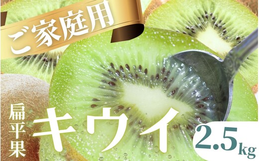 わけあり キウイ2.5kg+250g（傷み補償分）【わけあり・訳あり・扁平果】【ikd137C】