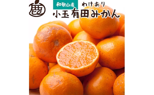 【先行予約】家庭用 小さな有田みかん（完熟）2.5kg+250g（傷み補償分） ※北海道・沖縄・離島への配送不可 / みかん 果物 フルーツ オレンジ ミカン 果実【ikd153C】