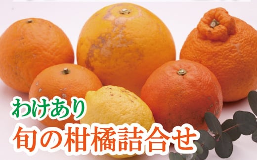 家庭用 柑橘詰合せ1kg+250g（傷み補償分）【訳あり・わけあり】【有田の春みかん詰め合わせ・フルーツ詰め合せ・オレンジつめあわせ】【光センサー選別】【ikd184B】