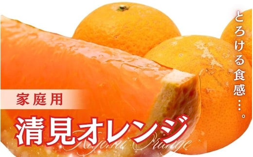 ＜2月より発送＞厳選 清見5kg+250g（傷み補償分）【光センサー食頃出荷】【樹上完熟きよみオレンジ・清見タンゴール・清美】【ikd198B】