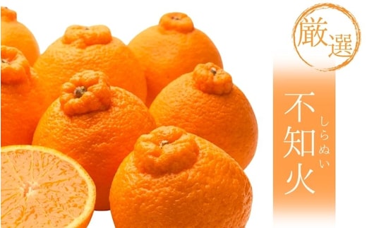 厳選不知火1kg+250g（傷み補償分）＜2月より発送＞【デコポンと同品種・人気の春みかん】【ikd207B】