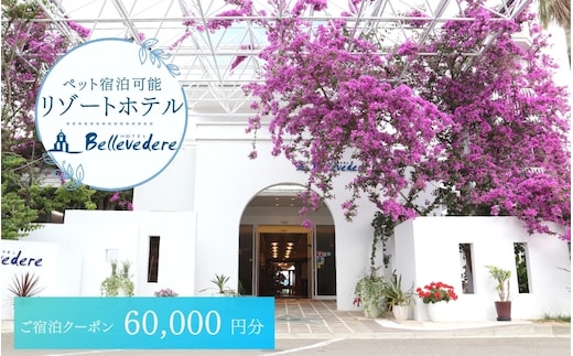 ホテルベルヴェデーレ 宿泊クーポン 60,000円分 宿泊チケット リゾートホテル 和歌山 紀南 南紀 観光【iki111】