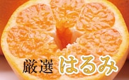 【先行予約】厳選 はるみ 2.5kg+250g（傷み補償分）＜2月より発送＞【デコポンの姉妹品種】【はるみみかん・ハルミ・春見・春美】【光センサー選別】【ikd048C】