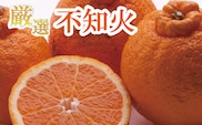 【先行予約】厳選 不知火2.5kg+250g（傷み補償分）＜2月より発送＞【デコポンと同品種・人気の春みかん】/柑橘 果物 フルーツ みかん デコポン 【ikd052D】