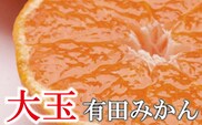【先行予約】家庭用 大きな有田みかん（完熟）10kg+250g（傷み補償分） ※北海道・沖縄・離島への配送不可 / みかん 果物 フルーツ オレンジ ミカン 果実【ikd120D】