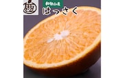 【先行予約】厳選 はっさく2.5kg+250g（傷み補償分）＜１月より発送＞ ※北海道・沖縄・離島への配送不可【ikd138A】