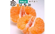 ＜先行予約＞家庭用はるみ1kg+250g（傷み補償分）【デコポンの姉妹品種・新食感春みかん】【光センサー選別】【わけあり・訳あり】＜2月より発送＞※北海道・沖縄・離島への配送不可【ikd142B】