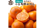 【先行予約】家庭用 小さな有田みかん（完熟）2.5kg+250g（傷み補償分） ※北海道・沖縄・離島への配送不可 / みかん 果物 フルーツ オレンジ ミカン 果実【ikd153C】