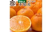 ＜先行予約＞家庭用不知火5kg+250g（傷み補償分）＜2月より発送＞【デコポンと同品種・人気の春みかん】【訳あり】※北海道・沖縄・離島への配送不可 フルーツ 果物 くだもの 柑橘 和歌山【ikd163C】