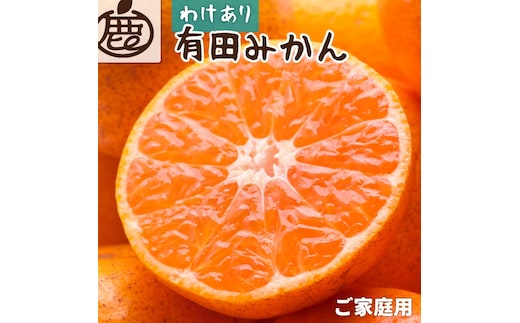 訳あり 家庭用 有田みかん サイズ混合(2S～2L) 10kg+250g 11月より発送(完熟)【わけあり・訳あり】【光センサー選果】【ikd175B】