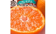 プレミアム有田みかん 1kg+250g（傷み補償分） ※11月より発送(完熟)【光センサー選果】 みかん ミカン 蜜柑 フルーツ 果物 柑橘【ikd005D】