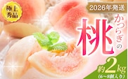 【先行予約】【厳選】あふれる果汁で口いっぱい！ 和歌山県産 桃 約2kg（6個~9個） 【2026年6月末頃～2026年8月末頃に順次発送予定】（お届け日指定不可）/ 和歌山 桃 モモ フルーツ もも 白桃 果物 くだもの【kgr001A】