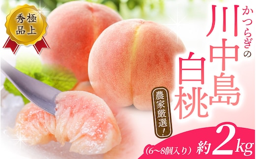 【予約受付】桃の王様【予約受付】こだわり農家厳選 川中島白桃 和歌山産の桃 <大玉特秀品> 約2kg（6個~9個） 【2026年7月末頃～2026年8月末頃に順次発送予定】（お届け日指定不可）/ 桃 もも 川中島 白桃 フルーツ 果物 くだもの 【kgr011A】