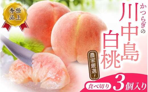 【予約受付】こだわり農家厳選 川中島白桃 和歌山産の桃 <大玉特秀品> 嬉しい食べきり容量 3玉 【2026年7月末頃～2026年8月末頃に順次発送予定（お届け日指定不可）/ 桃 もも 川中島 白桃 フルーツ 果物 くだもの 【kgr012】