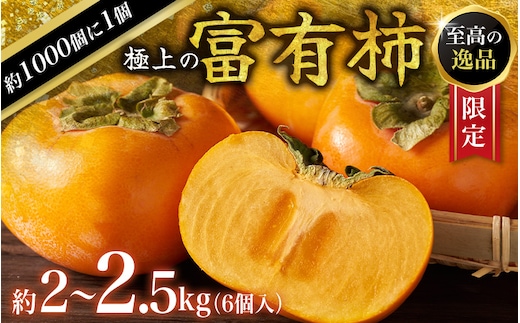 【先行予約】富有柿 2kg～2.5kg 6個入 至高の逸品 約1000個に１個！ 2026年10月末から11月末頃順次発送に順次発送予定（お届け日指定不可）/ 和歌山 柿 かき フルーツ 果物 くだもの 刀根 種無し【kgr013】