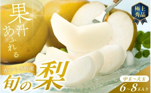 【先行予約】旬の梨(幸水ー豊水ーあきづき) 極上秀品（中玉～大玉）6～8個入り 2026年8月中旬～9月中旬頃に順次発送予定（お届け日指定不可）/ 和歌山 梨 フルーツ 果物 くだもの【kgr015】