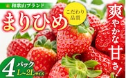 【先行予約】まりひめ いちご 12粒～15粒入り×4パック（1kg）22026年1月中旬～2026年3月中旬頃に順次発送予定（お届け日指定不可）/ いちご 苺 まりひめ 和歌山 フルーツ 果物 くだもの【kgr008A】
