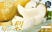 【先行予約】旬の梨(幸水ー豊水ーあきづき) 極上秀品（中玉～大玉）6～8個入り 2026年8月中旬～9月中旬頃に順次発送予定（お届け日指定不可）/ 和歌山 梨 フルーツ 果物 くだもの【kgr015】