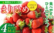 【先行予約】まりひめイチゴ4パック 食べやすいひと口サイズ M～L（15粒～20粒入×4パック）【2026年1月初旬～3月下旬頃に順次発送（お届け日指定不可）/ いちご 苺 まりひめ 和歌山 フルーツ【kgr034】 