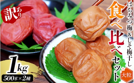 訳あり ご家庭用 紀州南高梅 大粒 食べ比べセット 1㎏ (はちみつ500g・しそ漬500g) 塩分約8% 無選別 / 訳あり 梅 梅干 梅干し うめ ウメ ハチミツ シソ 小分け すさみ町 within2025【khs122】