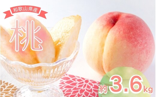 【先行予約】和歌山県産の美味しい桃 11～15玉入り【2026年6月中旬頃から8月上旬頃順次発送予定】 和歌山 もも モモ 桃 ギフト 贈り物 プレゼント 夏ギフト 果物 フルーツ 人気 産地直送 和歌山県 お取り寄せ【mat100C】