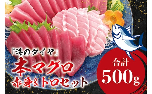 本マグロ（養殖）トロ＆赤身セット 500g 【１ヶ月以内に順次発送】 高級 クロマグロ 中トロ 中とろ まぐろ マグロ 鮪 刺身 赤身 柵 じゃばらまぐろ 本マグロ 本鮪【nks110D】
