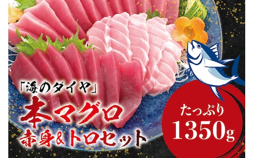 本マグロ（養殖）トロ＆赤身セット 1350g 【１ヶ月以内に順次発送】 高級 クロマグロ 中トロ 中とろ まぐろ マグロ 鮪 刺身 赤身 柵 じゃばらまぐろ 本マグロ 本鮪【nks111B】