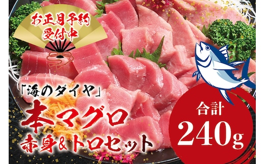 ＼年末発送・お正月に／ 本マグロ（養殖）トロ＆赤身セット 240g 【12/25～30発送】高級 クロマグロ 中トロ 中とろ まぐろ マグロ 鮪 刺身 赤身 柵 じゃばらまぐろ 本マグロ 本鮪 within2025【nks113-sg】