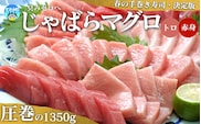 まぐろ 本マグロ(養殖) トロ＆赤身セット 1350g 【１ヶ月以内に順次発送】 高級 クロマグロ 中トロ 中とろ  まぐろ マグロ 鮪 刺身 赤身 柵 じゃばらまぐろ 本マグロ 本鮪 【nks111B】