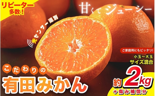 【2027年1月発送予約分】＼光センサー選別／ 【農家直送】【家庭用】こだわりの有田みかん 2kg 先行予約 有機質肥料100% サイズ混合 【1月発送】 ※北海道・沖縄・離島配送不可/みかん ミカン 有田みかん 温州みかん 柑橘 有田 和歌山 産地直送 【nuk159-01】