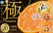 みかん 【まもなく発送開始！】極の厳選 有田みかんプレミアム 約5kg 【選りすぐりの上位20％をお届け】【nuk155F】