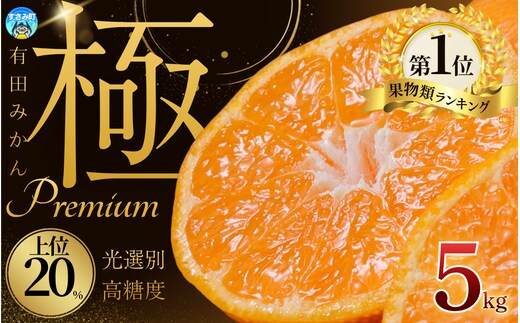 みかん 【まもなく発送開始！】極 有田みかんプレミアム 約5kg【選りすぐりの上位20％をお届け】【nuk155F】