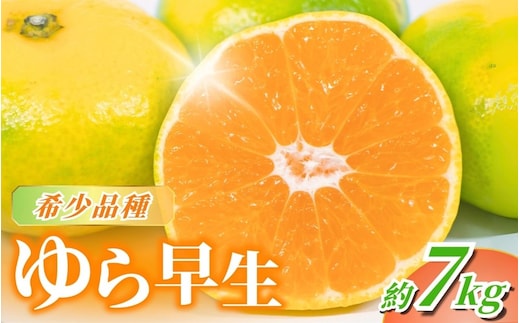 濃厚な味わい ご家庭用 ゆら早生みかん 約7kg 【10月上旬より発送】※北海道・沖縄・離島配送不可 / 果物 フルーツ オレンジ 柑橘 くだもの みかん ミカン 有田みかん【nuk002F】