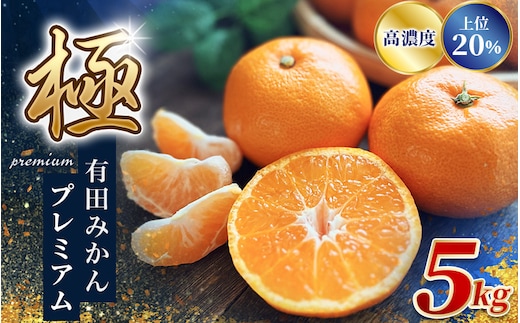 みかん 【まもなく発送開始！】極 有田みかんプレミアム 約5kg【選りすぐりの上位20％をお届け】【nuk155F】