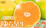 濃厚な味わい ご家庭用  ゆら早生みかん 約7kg 【10月上旬より発送】※北海道・沖縄・離島配送不可 / 果物 フルーツ オレンジ 柑橘 くだもの みかん ミカン 有田みかん【nuk002F】