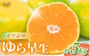 訳あり【2026年秋頃発送予約分】＼光センサー選別／＼農家直送／甘くて濃厚！希少品種 ご家庭用 ゆら早生みかん　約5kg　サイズ混合　※2026年10月上旬より順次発送予定（お届け日指定不可）/ みかん フルーツ 柑橘 オレンジ 和歌山 有田【nuk109F】