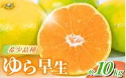 訳あり【2026年秋頃発送予約分】【農家直送】甘くて濃厚！希少品種 ご家庭用 ゆら早生みかん　約10kg 有機質肥料100%　 サイズ混合　※2026年10月上旬より順次発送予定（お届け日指定不可）/ くだもの 果物 オレンジ 有田 有田みかん【nuk110D】
