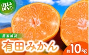 【訳あり】農家直送 有田みかん 約10kg 先行予約  ※2025年11月中旬から2026年1月中旬までに順次発送予定（お届け日指定不可） / みかん ミカン 和歌山 ご家庭用 サイズ混合 訳ありみかん 温州みかん 有機質肥料100% ふるさと納税 柑橘 有田 産地直送【nuk138H】